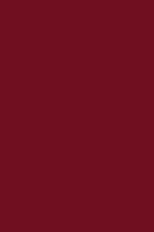 رژ لب اورجینال برند Flormar کد 874468 - Image 3