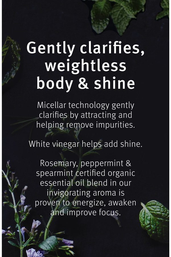 شامپو اورجینال برند Aveda مدل Rosemary Mint Purifying Shampoo 250ml کد 831669926 - Image 3