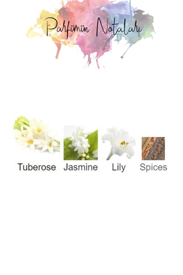 ادکلن اورجینال برند Mythologic perfume کد 676568765 - Image 3