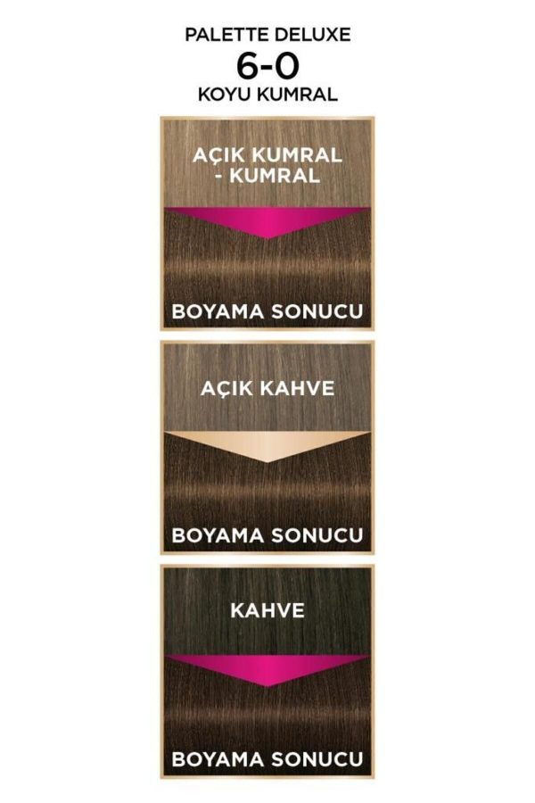 رنگ مو اورجینال برند Palette کد 4405469 - Image 5