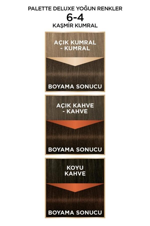 رنگ مو اورجینال برند Palette مدل Palette Deluxe Yoğun Renkler 6-4 کد 4405548 - Image 5