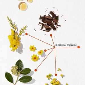 رنگ مو اورجینال برند Phyto مدل Amonyaksız kalıcı bitkisel saç boyası کد 31449993