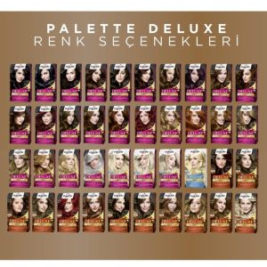 رنگ مو اورجینال برند Palette کد 130712506