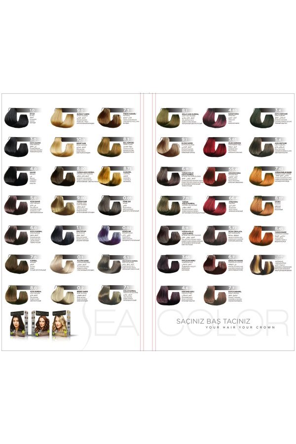 رنگ مو اورجینال برند Sea color کد 814579259 - Image 7