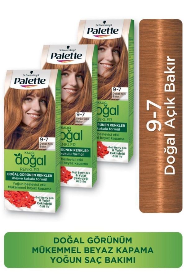 رنگ مو اورجینال برند Palette کد 242613601