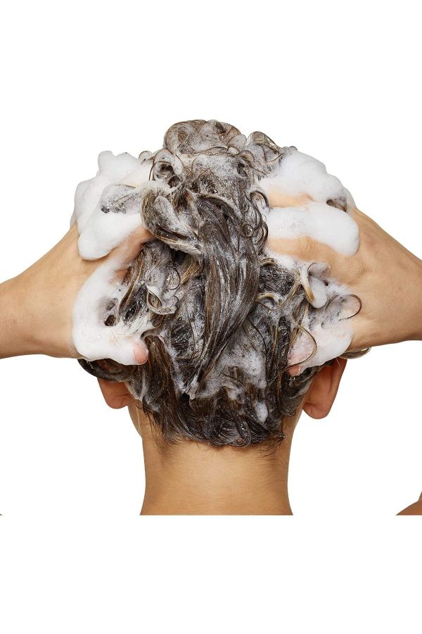 شامپو اورجینال برند L oreal professionnel کد 805984110 - Image 3