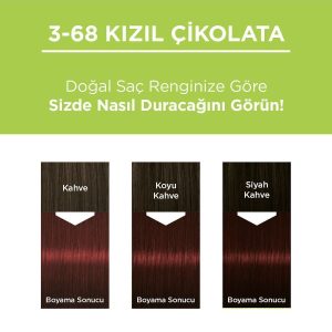 رنگ مو اورجینال برند Palette مدل Palette Permanent Natural Colors کد 2913058