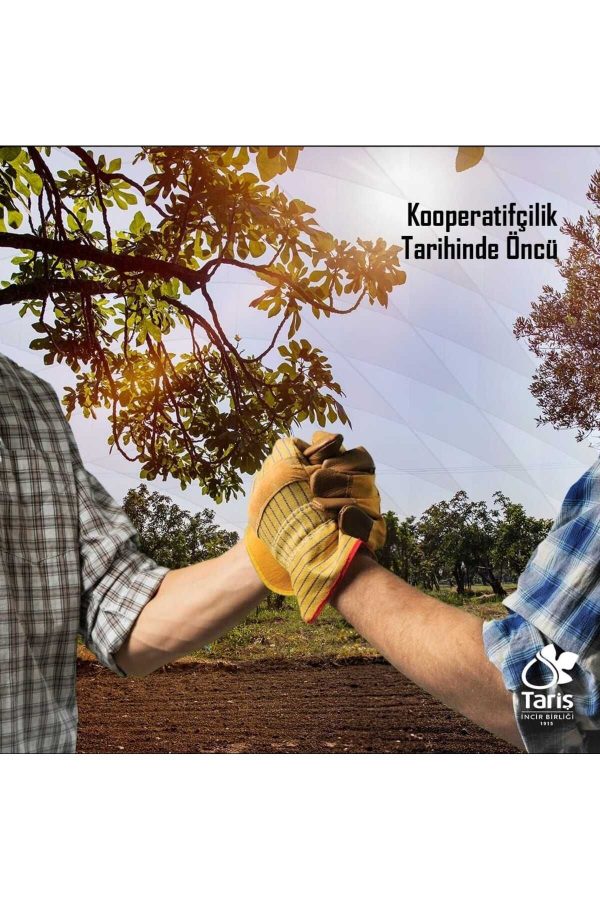 ادکلن اورجینال برند Taris مدل LIMON KOLONYASI 4X1000 ML کد 786238621 - Image 2