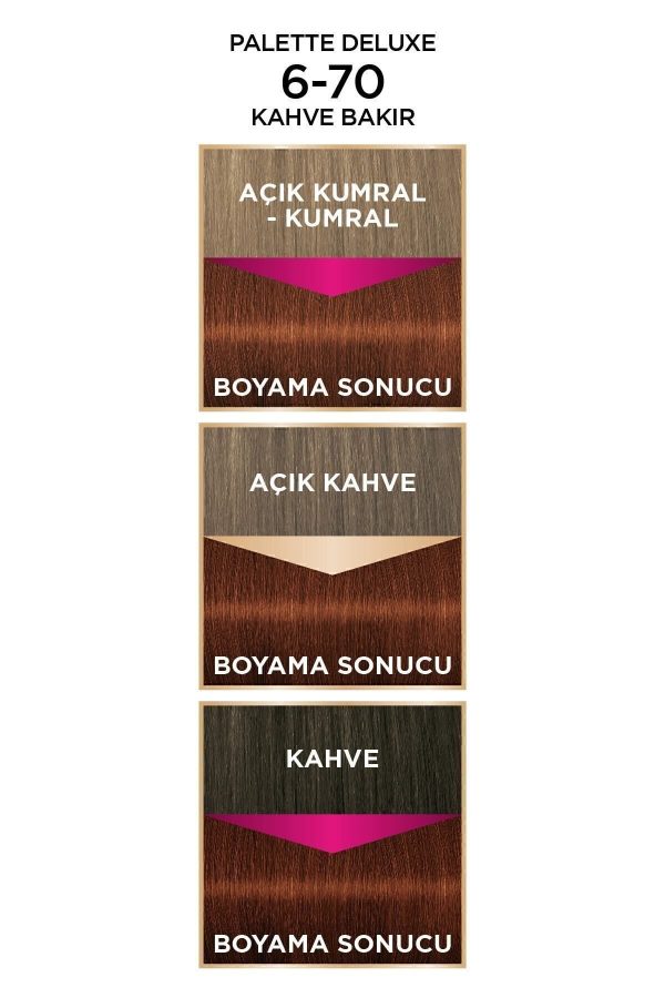 رنگ مو اورجینال برند Palette مدل Palette Deluxe 6-70 کد 40660461 - Image 6