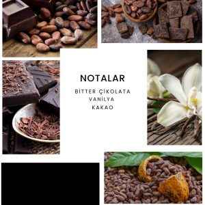 ادکلن اورجینال برند Ixora مدل E208x2 کد 772120536