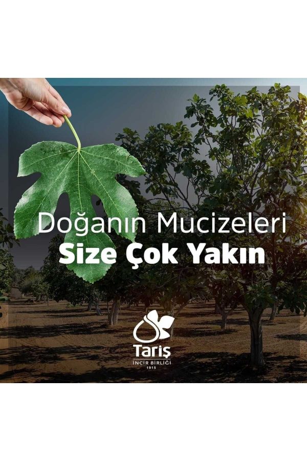 ادکلن اورجینال برند Taris مدل Kolonya Bidon 1000 ml کد 348836240 - Image 5