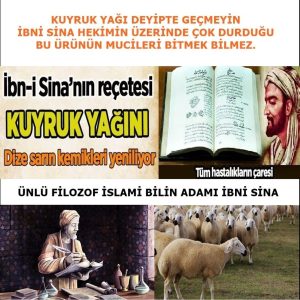 کرم بدن اورجینال برند Sina lokman hekim کد 761899941