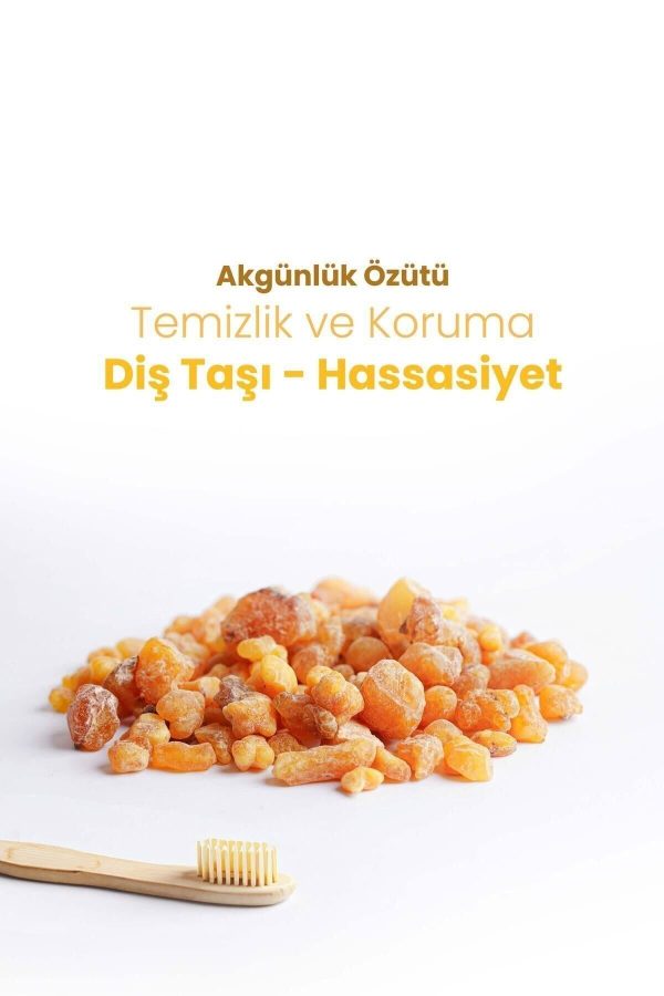 خمیر دندان اورجینال برند Probident کد 318264956 - Image 4