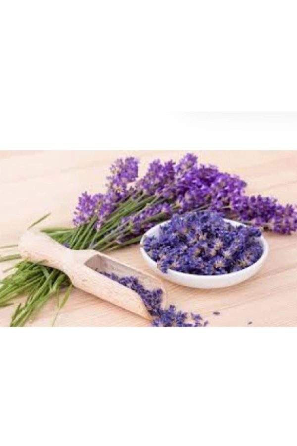 کرم صورت اورجینال برند Ala lavandula کد 831576883 - Image 2
