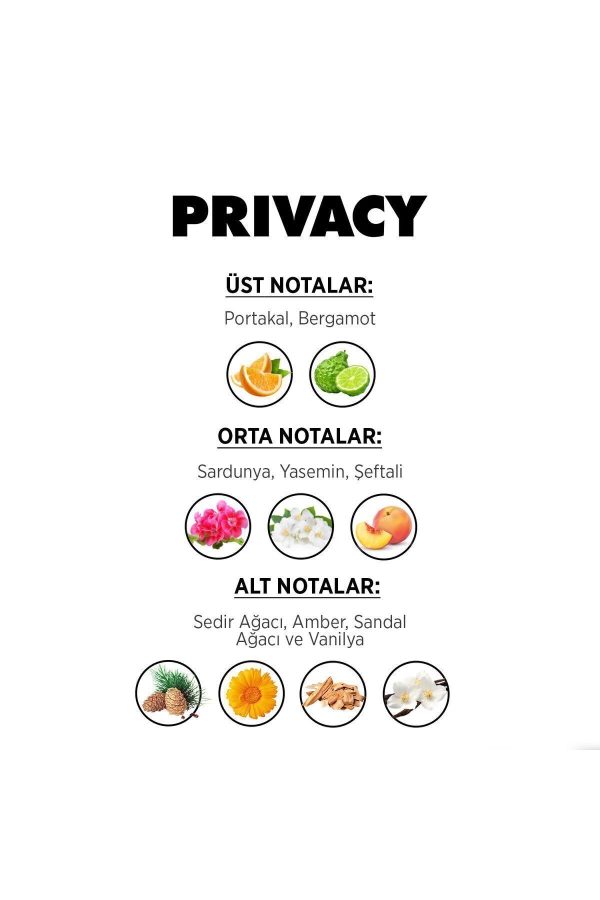 ادکلن اورجینال برند Privacy مدل Privacy Men Edt کد 2174033 - Image 4
