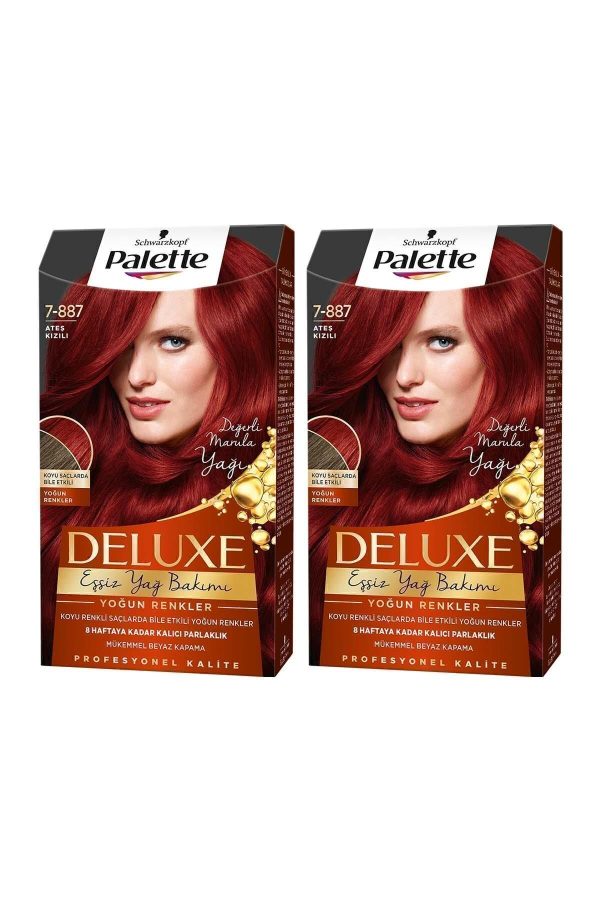 رنگ مو اورجینال برند Palette مدل Palette Deluxe Yoğun Renkler کد 4405476