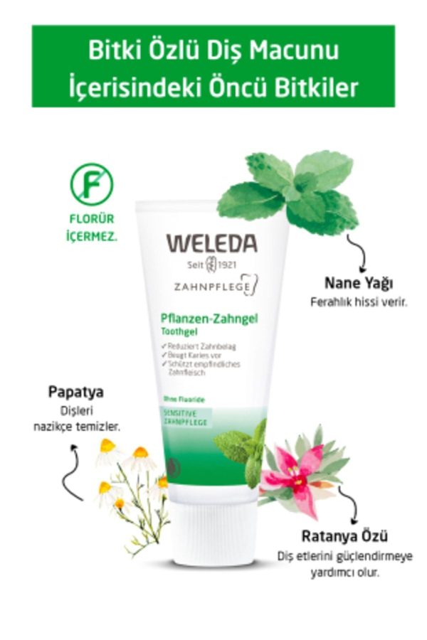 خمیر دندان اورجینال برند Weleda کد 38766351 - Image 3