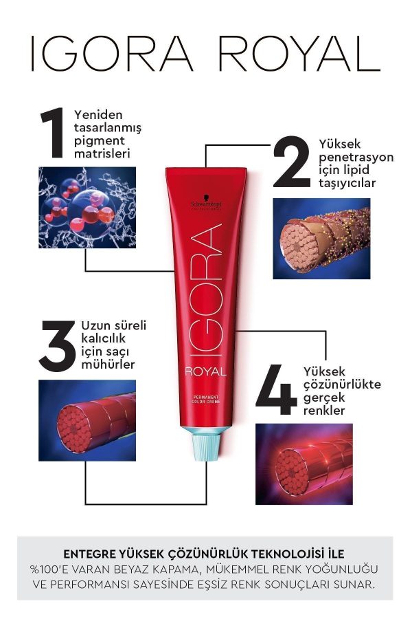 رنگ مو اورجینال برند Igora مدل 5-6 Açık Kahve-kestane 60ml کد 6062499 - Image 2