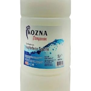 1 org zoom 81512