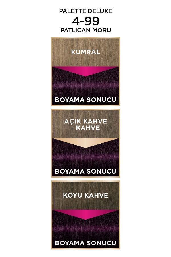 رنگ مو اورجینال برند Palette مدل Palette Deluxe 4-99 کد 4405484 - Image 5