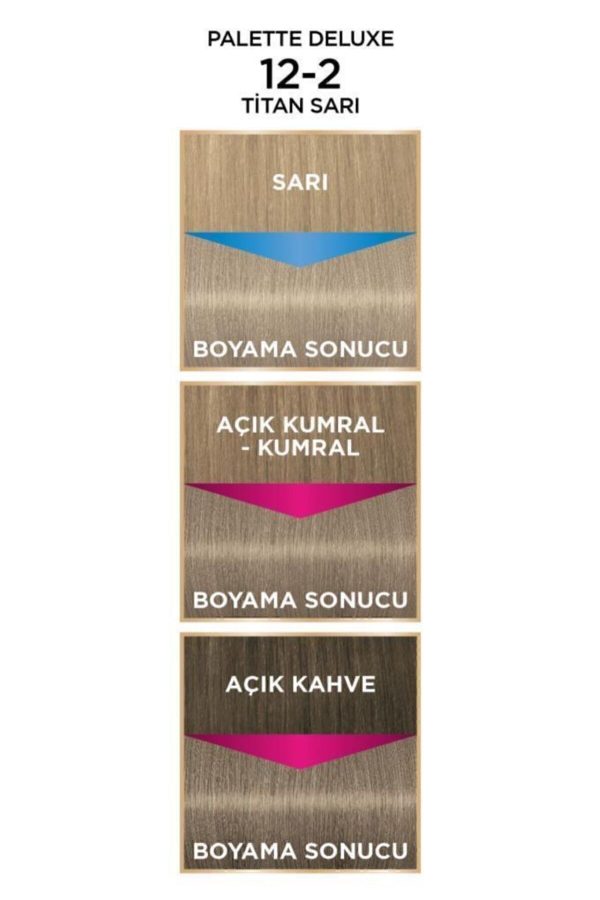رنگ مو اورجینال برند Palette مدل Palette Deluxe 12-2 Titan کد 4405554 - Image 5