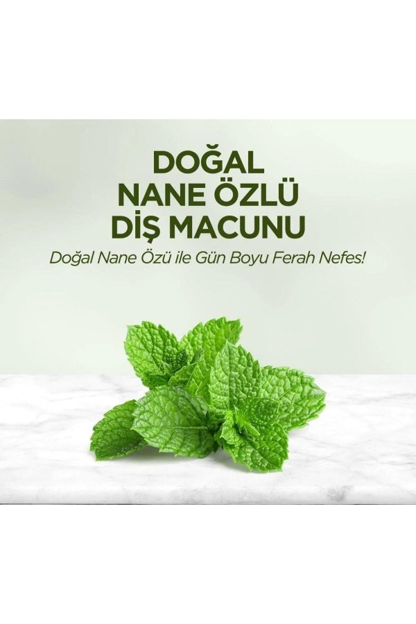 خمیر دندان اورجینال برند Eyup sabri tuncer کد 737229428 - Image 3