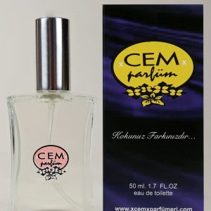ادکلن اورجینال برند Cemparfum مدل Lady Million 50ml Edp کد 154558312