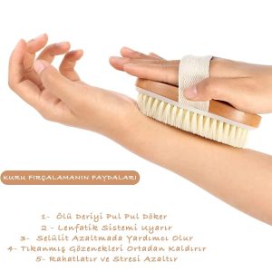 برس سلولیت اورجینال برند Noyiska کد 355631144