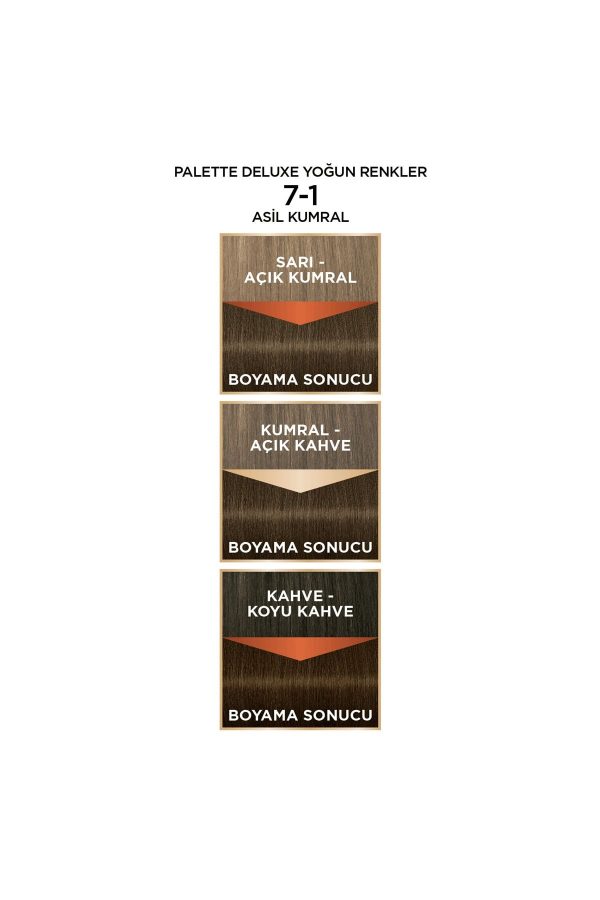 رنگ مو اورجینال برند Palette کد 350122688 - Image 3
