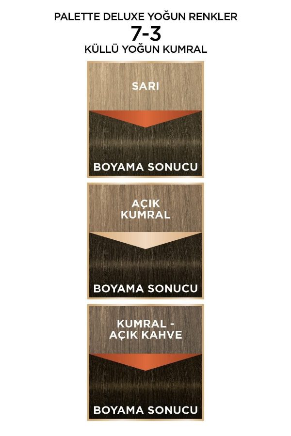 رنگ مو اورجینال برند Palette مدل 7-3 Küllü Yoğun Kumral کد 168301156 - Image 4