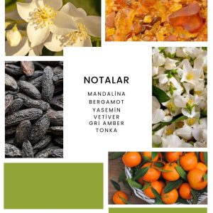 ادکلن اورجینال برند Ixora کد 774052385
