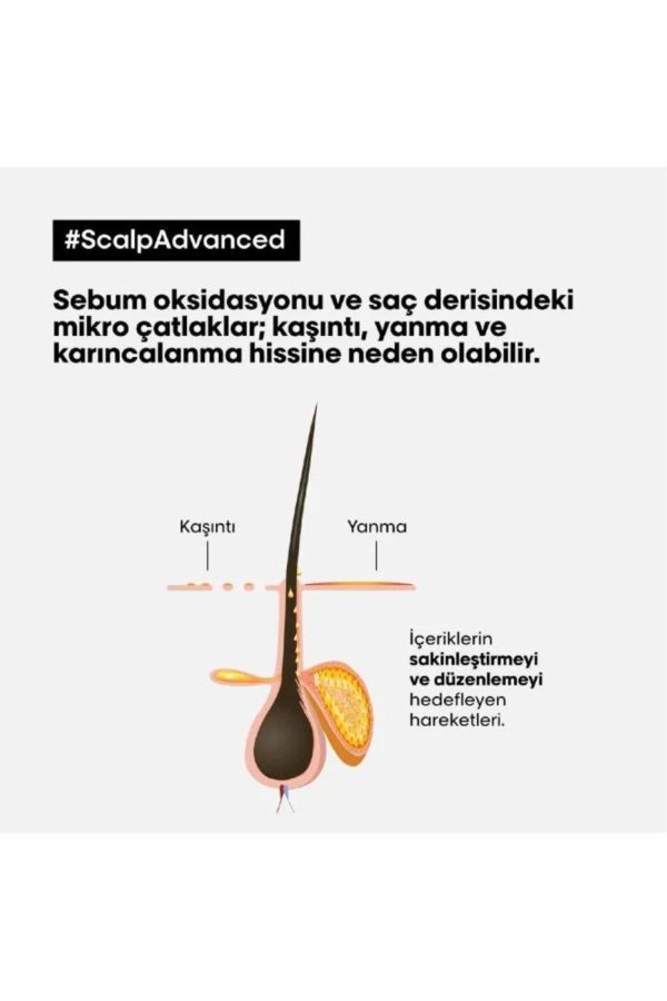 شامپو اورجینال برند L oreal professionnel کد 806303265 - Image 3
