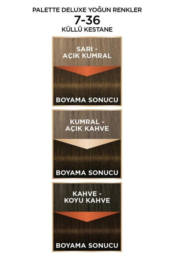 رنگ مو اورجینال برند Palette مدل Palette Deluxe Yoğun Renkler 7-36 کد 4659900 - Image 5