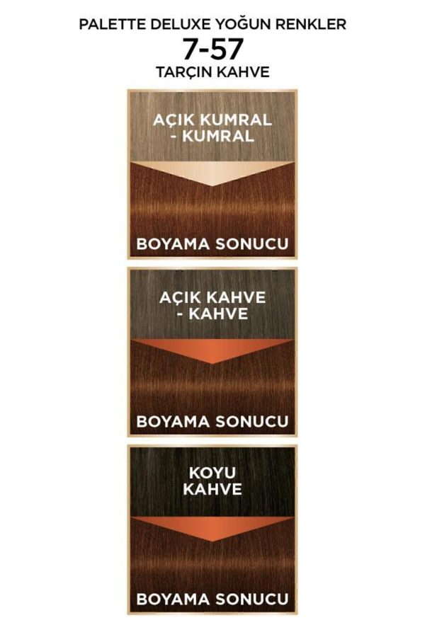رنگ مو اورجینال برند Palette مدل Palette Deluxe Yoğun Renkler کد 38610009 - Image 5
