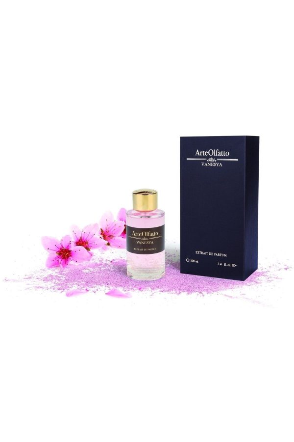 ادکلن اورجینال برند Arte olfatto مدل Vanesya Extrait De 100 ml کد 745880455