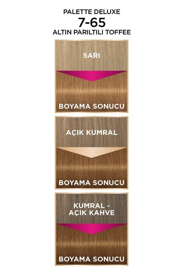 رنگ مو اورجینال برند Palette مدل Palette Deluxe 7-65 کد 37806100 - Image 6