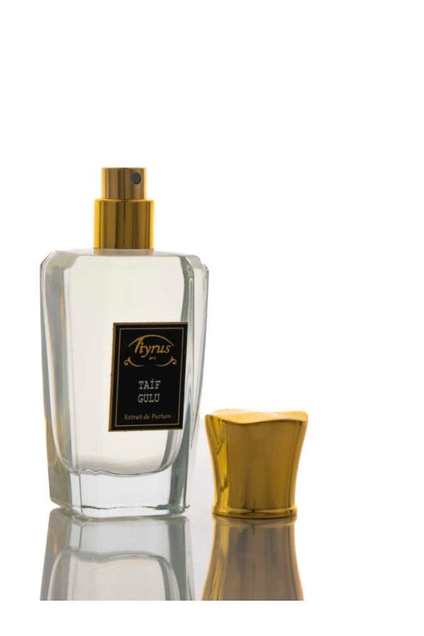 ادکلن اورجینال برند Tiyrus مدل Extrait de Parfum کد 45018900