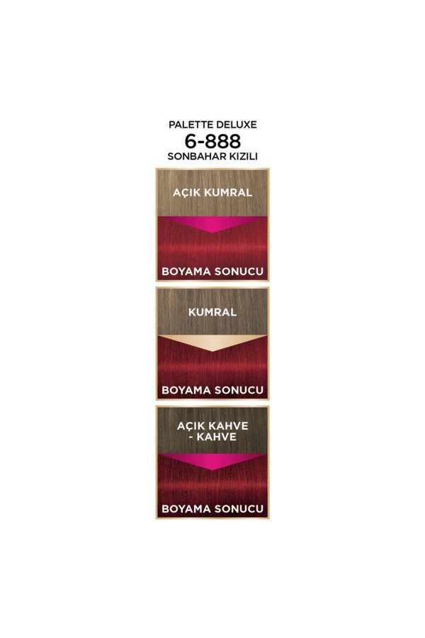 رنگ مو اورجینال برند Palette مدل Deluxe Saç Boyası کد 132406605 - Image 2