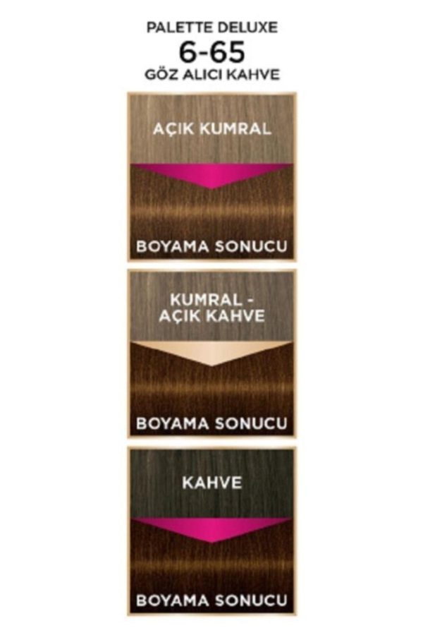 رنگ مو اورجینال برند Palette مدل Palette Deluxe 6-65 کد 263762221 - Image 5