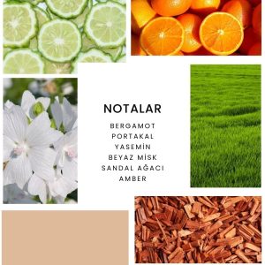 ادکلن اورجینال برند Ixora کد 712279072