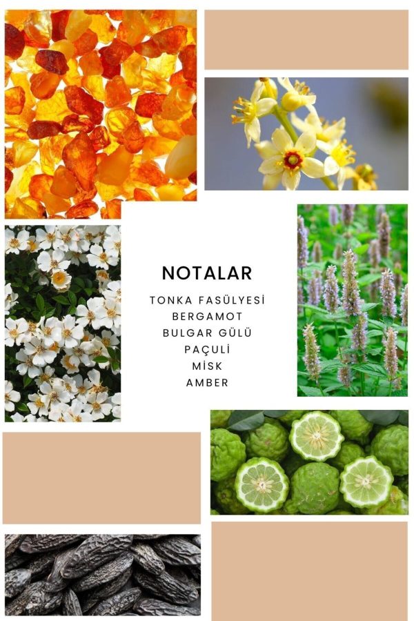 ادکلن اورجینال برند Ixora مدل K367 Esprit کد 355922837 - Image 2