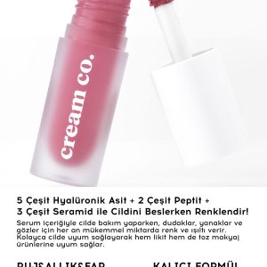 رژ گونه اورجینال برند Cream co مدل Glow Tint Rich Berry کد 871362598