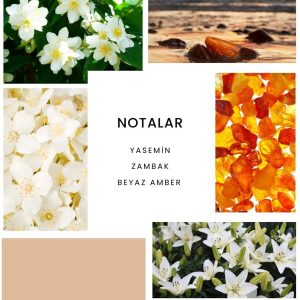 ادکلن اورجینال برند Ixora مدل K236 Aristone کد 856339860