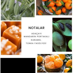 ادکلن اورجینال برند Ixora مدل E287 Pacifique کد 856343109