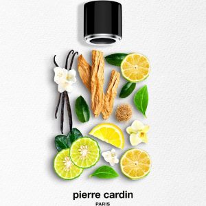 ادکلن اورجینال برند Pierre cardin مدل Hyeres EDT 100 ml کد 792329162