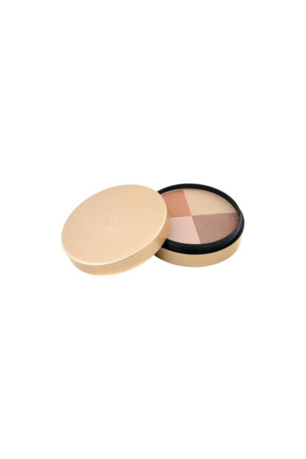 رژ گونه اورجینال برند Jane iredale مدل Moonglow Golden Bronzer 85 gr کد 2596850