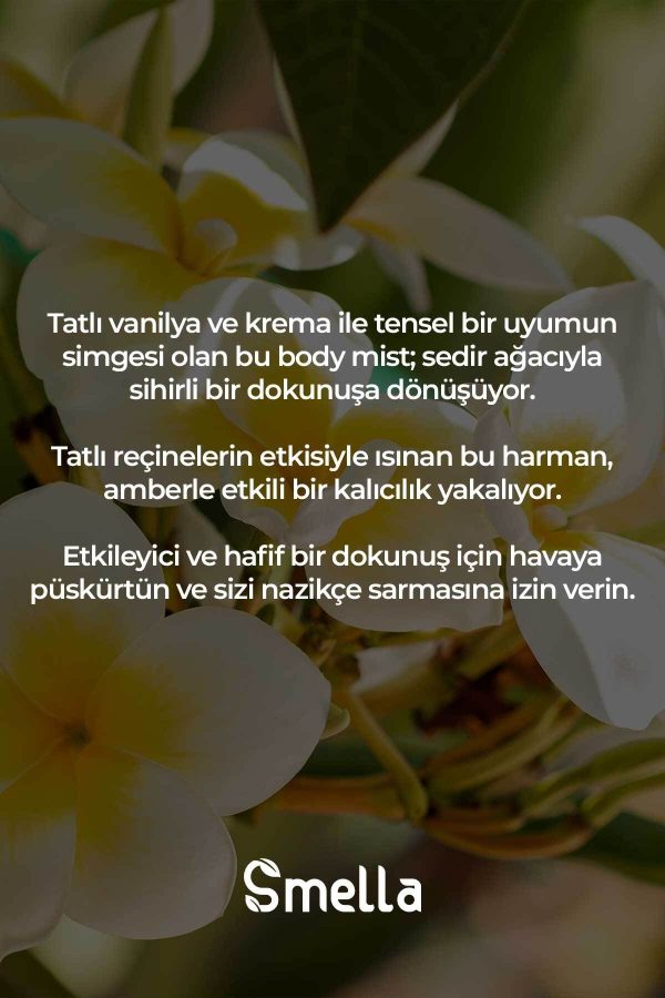 اسپری بدن اورجینال برند Armasari کد 796099032 - Image 6
