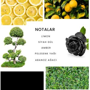 ادکلن اورجینال برند Ixora مدل E236x2 کد 772125191