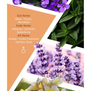 ادکلن اورجینال برند Mad parfum مدل A115 Selective کد 354100483
