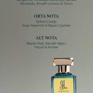 ادکلن اورجینال برند Un petit luxe کد 871331926